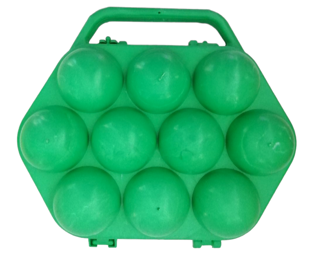 Plastic Egg Tray, 10 pcs