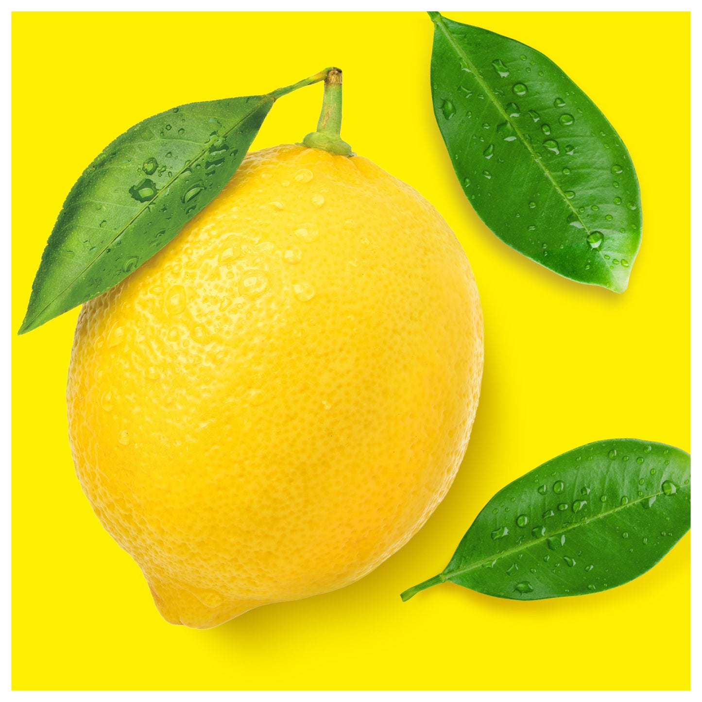 Mr. Proper Lemon Universal Floor & Wall Cleaner, 1 L - Image 2