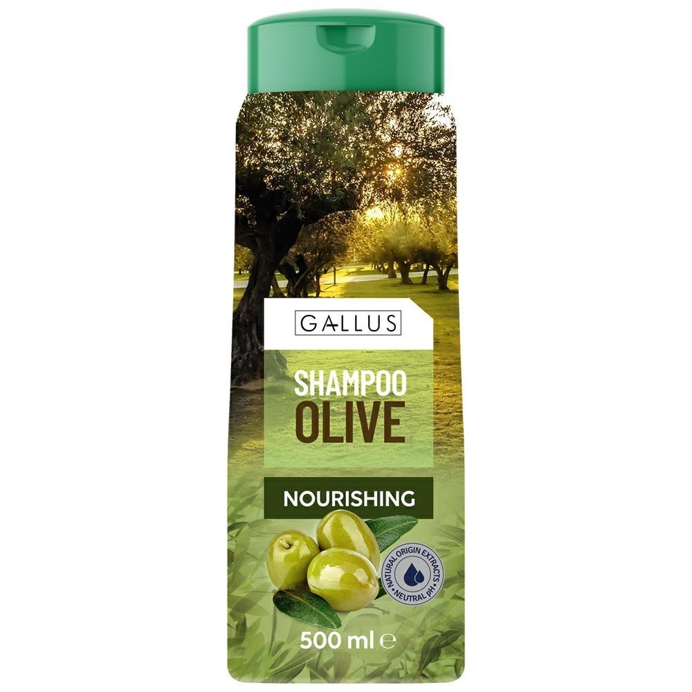 Gallus Olive Hair Shampoo, 500 mL
