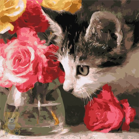 Ideyka KNO6804 Fluffy Explorer Paint-by-Numbers Set, 40 x 40 cm