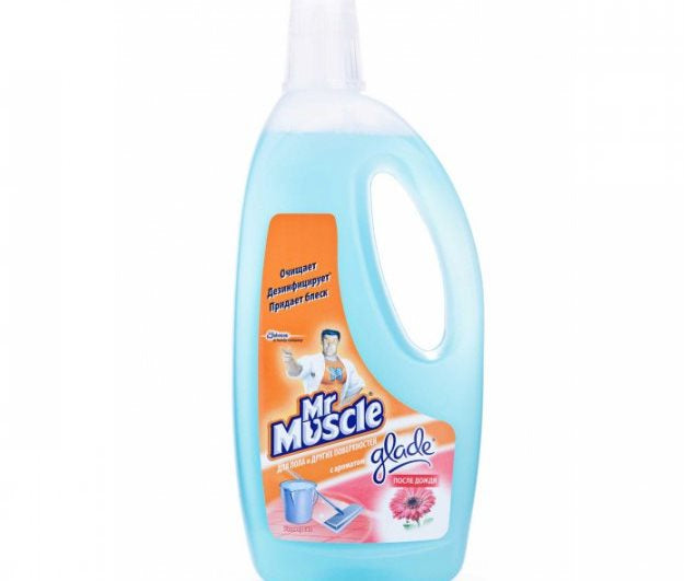 Mr.Muscle Rain Freshness Floor Cleaner, 750 mL