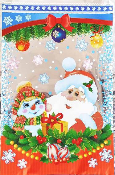 Foil Christmas Gift Bag