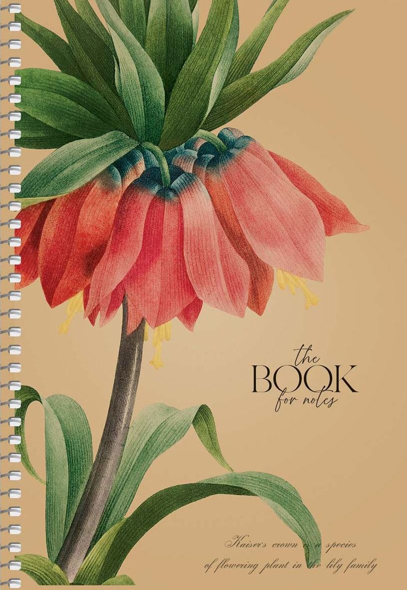 Shkoliaryk 06070 A5 Spiral Notebook, 96 Sheets - Image 4