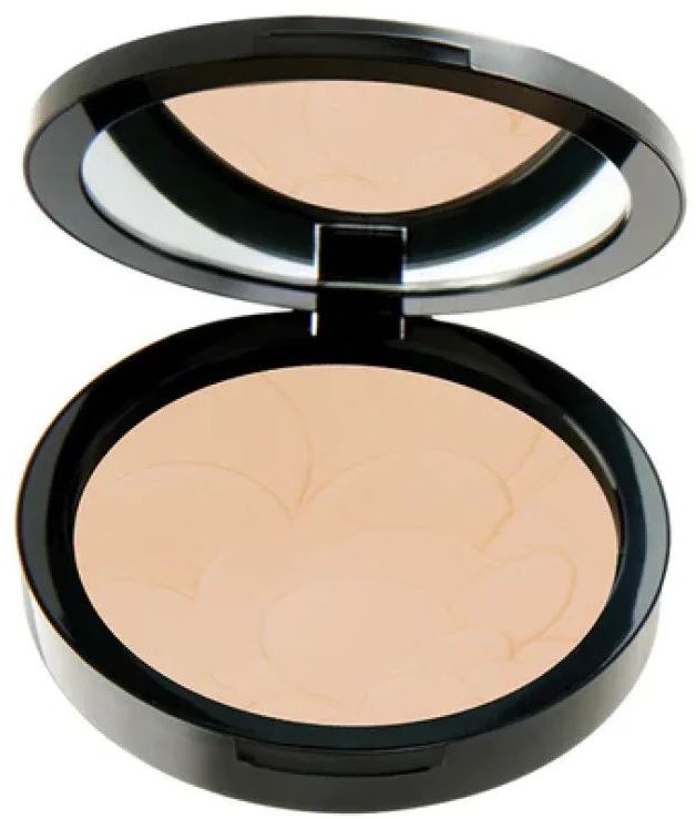 Pastel Profashion Advanced Powder Shade 45, 11 g