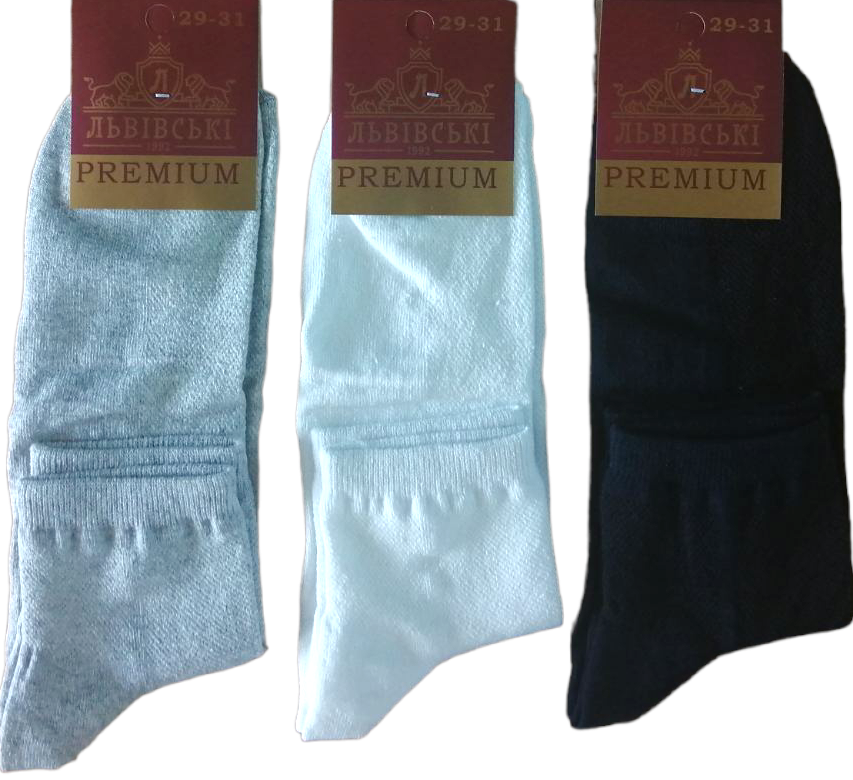 Lvivski Premium Men's Mid-Crew Mesh Socks, Size 29-31