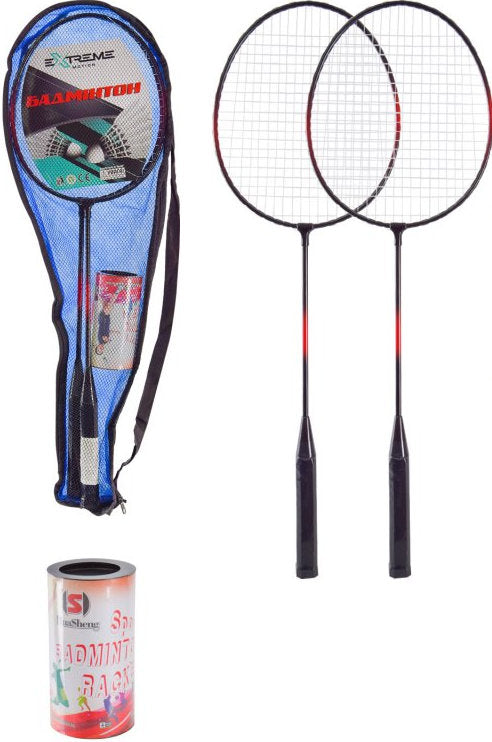 Badminton Set BD2430 with 2 Rackets and 3 Shuttlecocks in Case