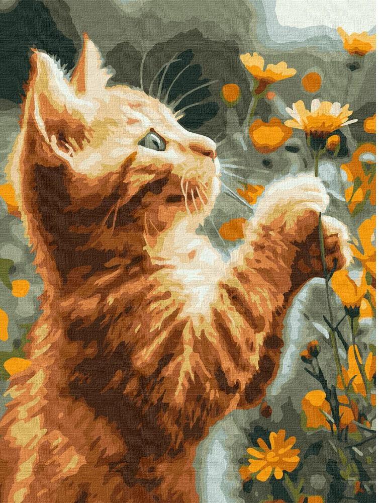 Ideyka KNO6607 Fluffy Ginger Cat Paint-by-Numbers Set, 30 x 40 cm