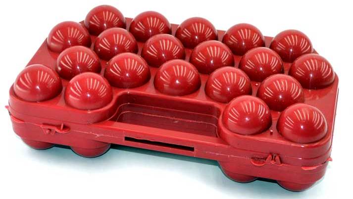 Plastic Egg Tray, 20 pcs