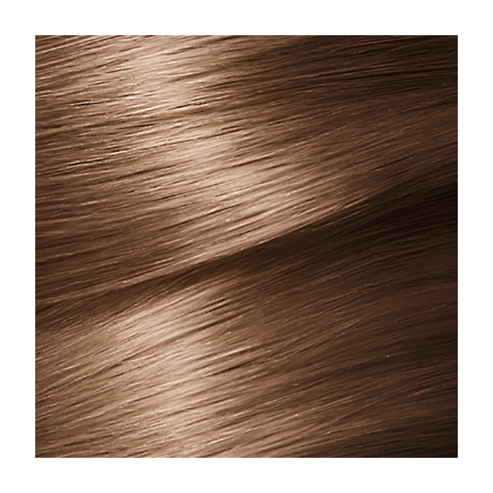Garnier Color Naturals 6.0 Hazelnut Hair Color, 110 mL - Image 3