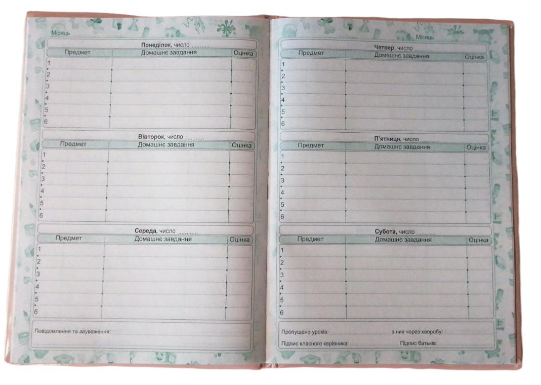 Riukzachok Shch-10 Sandwich-Cover School Diary for Grades 1-4 - Image 2