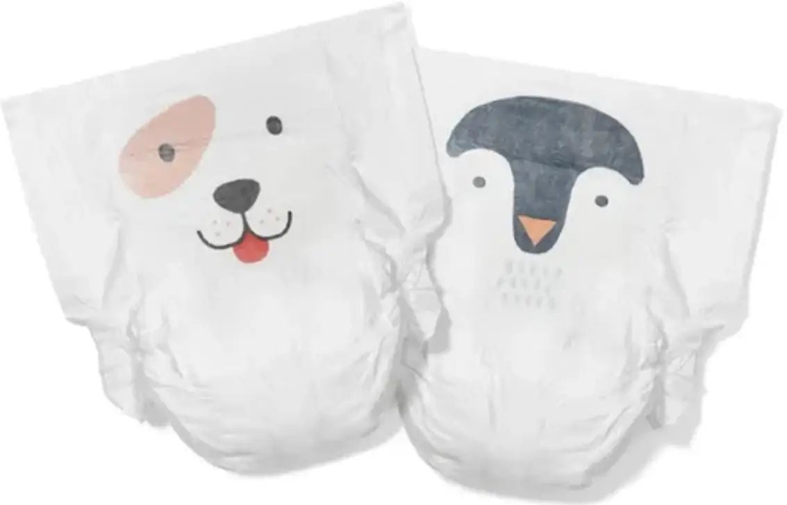 Kit & Kin Size 6 Baby Diapers, 14+ kg, 24 pcs - Image 2