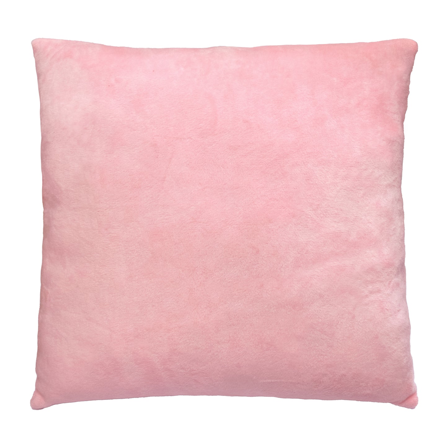 Tigres PD-0463 Best Wishes Pillow - Image 2