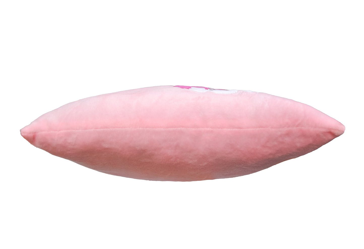 Tigres PD-0463 Best Wishes Pillow - Image 3