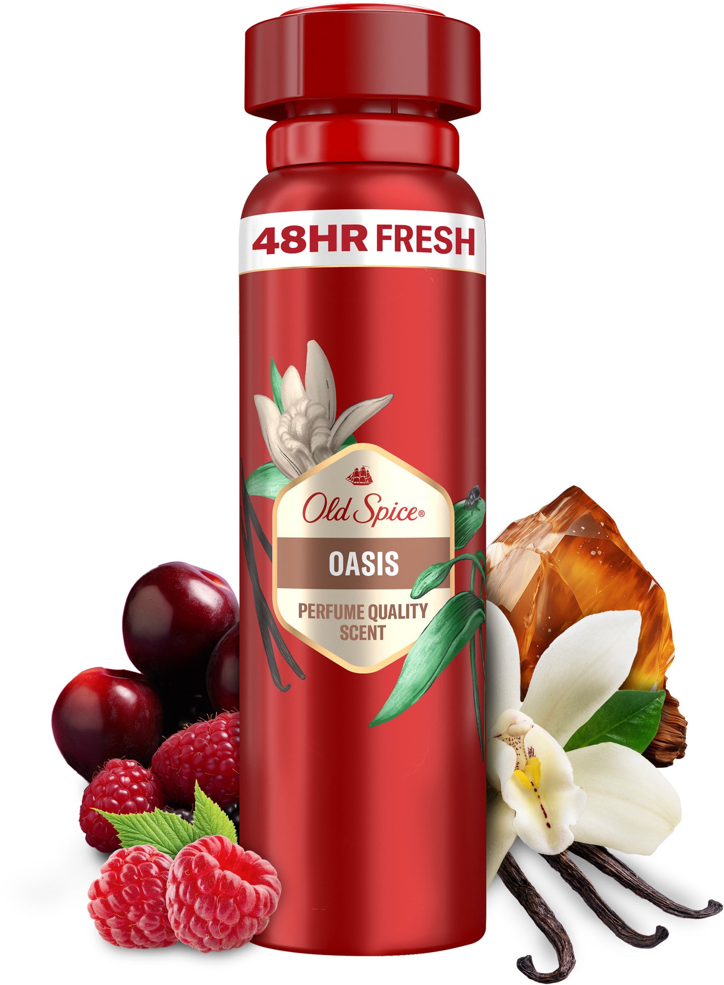 Old Spice Oasis Aerosol Deodorant, 150 mL - Image 4