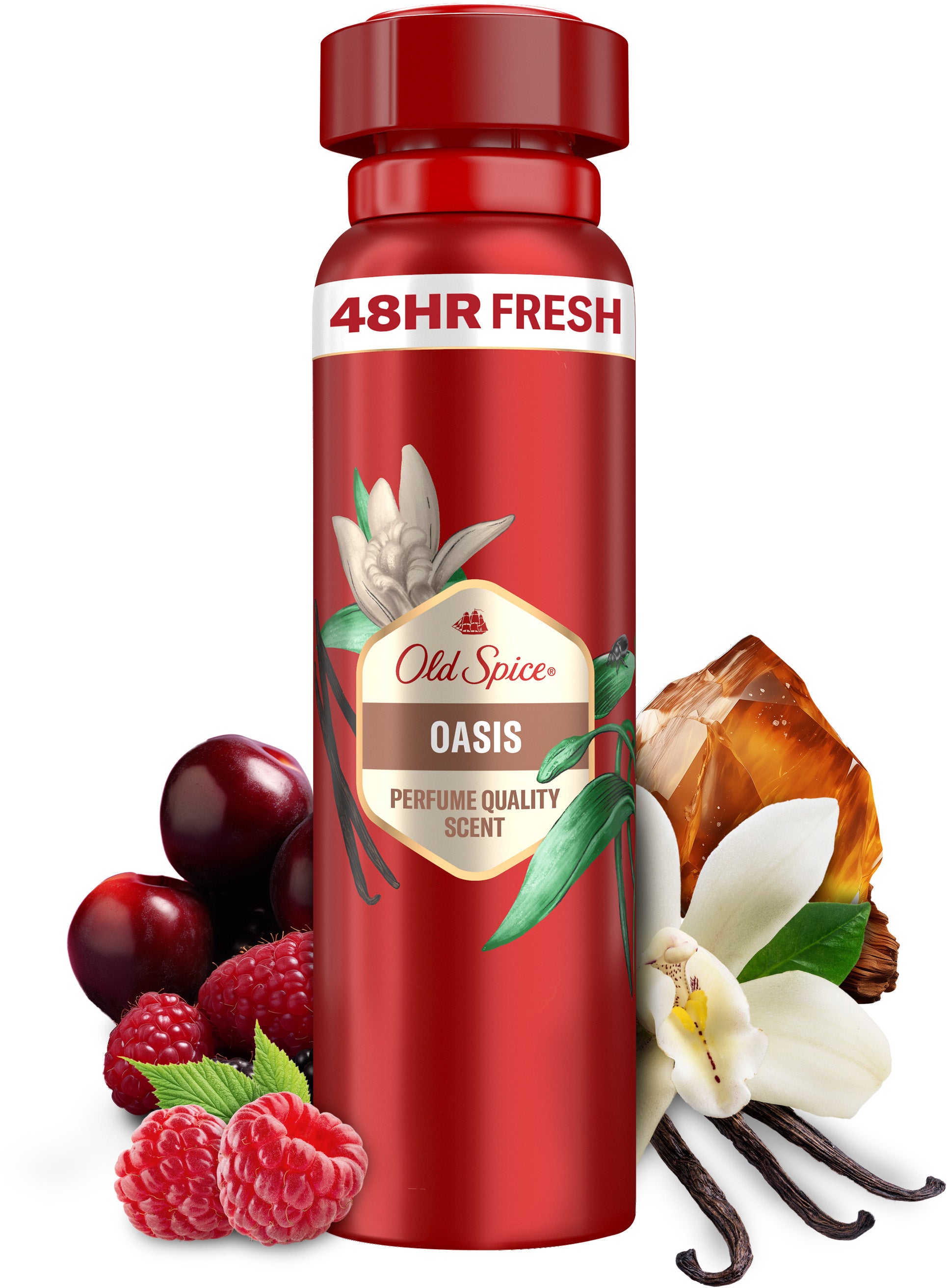 Old Spice Oasis Aerosol Deodorant, 150 mL - Image 4