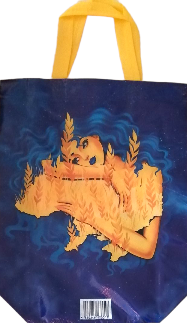 Eco Shopping Bag without Zipper, 29 x 33 cm