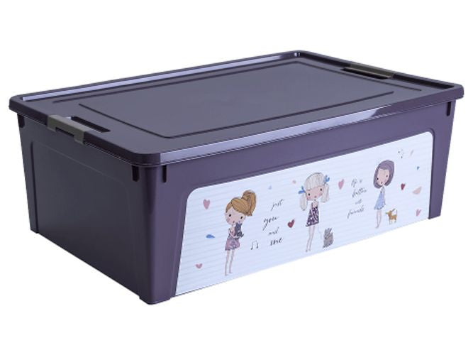Aleana Smart Box Storage Container with Decorative Print, Assorted, 11.7 L - Image 2