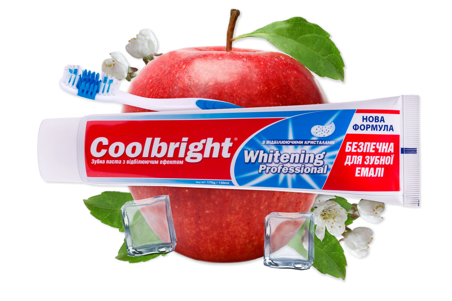 Coolbright Professional Whitening Toothpaste & Toothbrush Set, 130 mL - Image 4