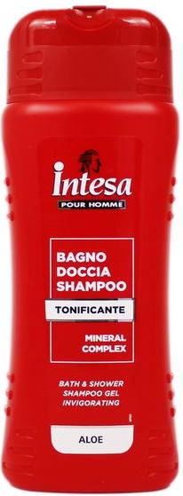 Intesa Aloe Men's Shampoo & Shower Gel, 500 mL