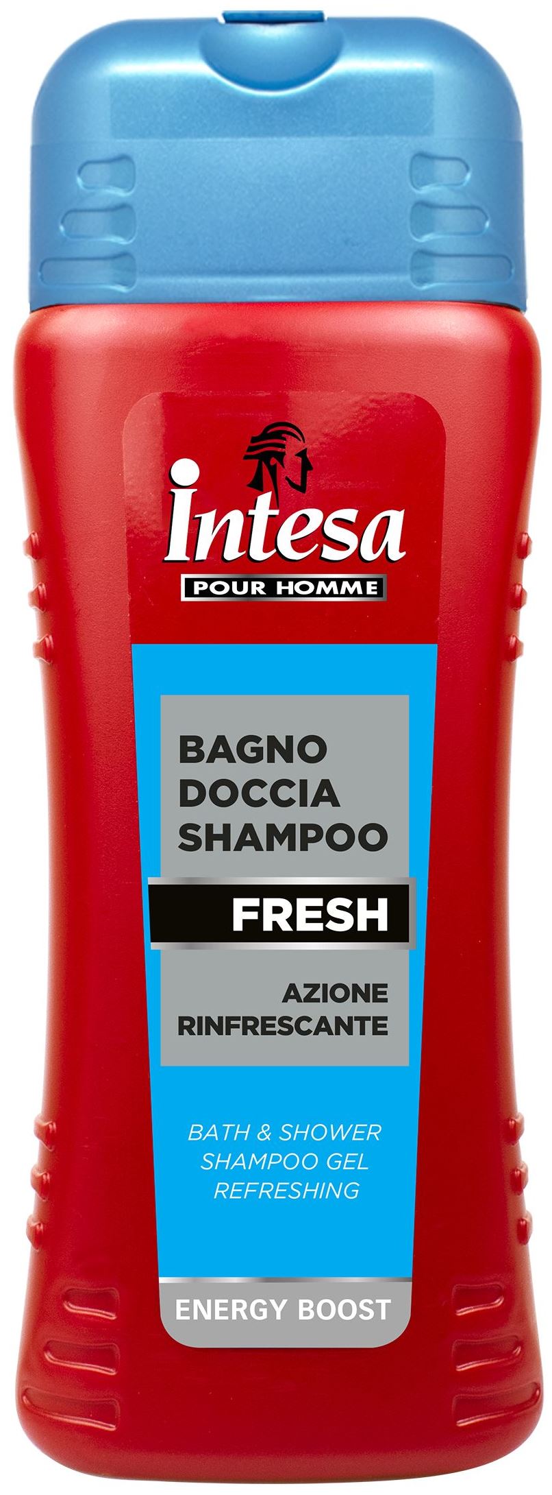 Intesa Fresh Men's Shampoo & Shower Gel, 500 mL