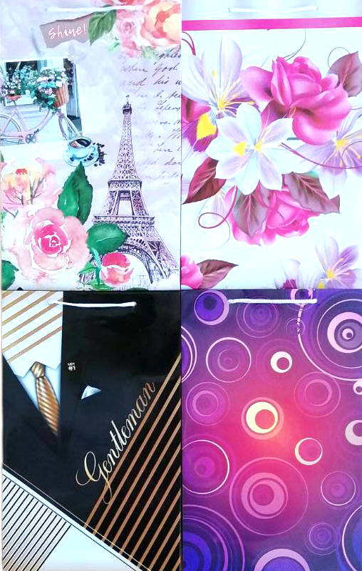 Svit Pozdorovlen Medium Vertical Gift Bag, 27 x 16.5 x 6 cm