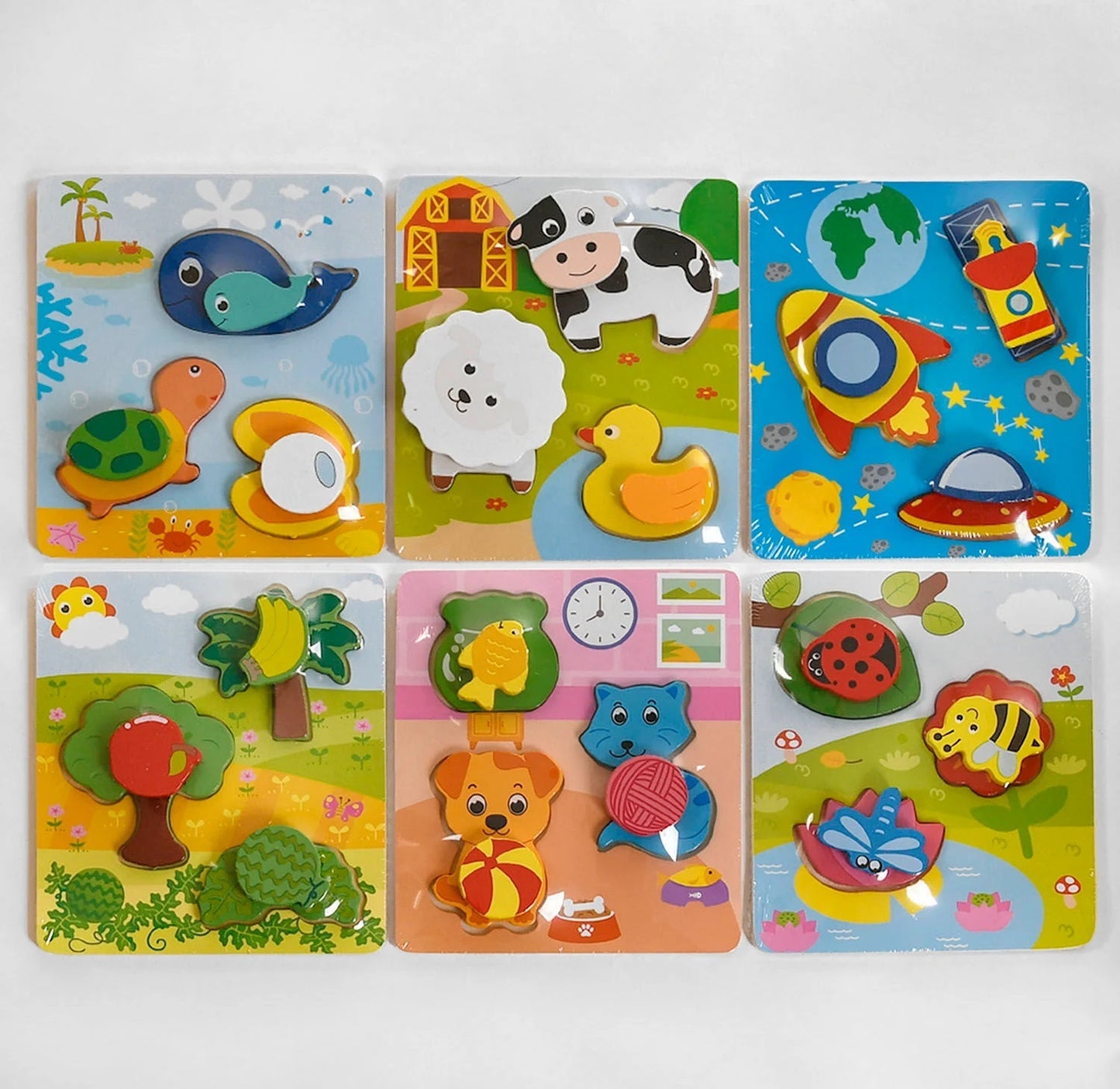 C48537 Wooden Insert Frame Game