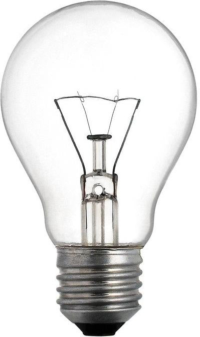 Techlamp Incandescent Light Bulb, 240 V, 100 W - Image 2