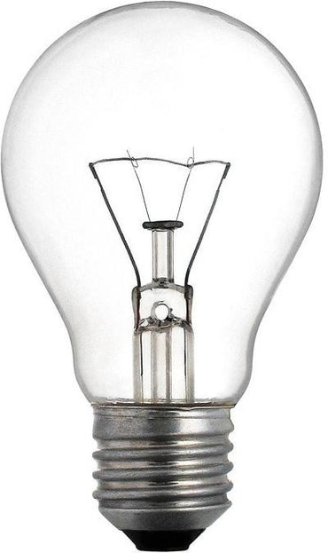Techlamp Incandescent Light Bulb, 240 V, 100 W - Image 2