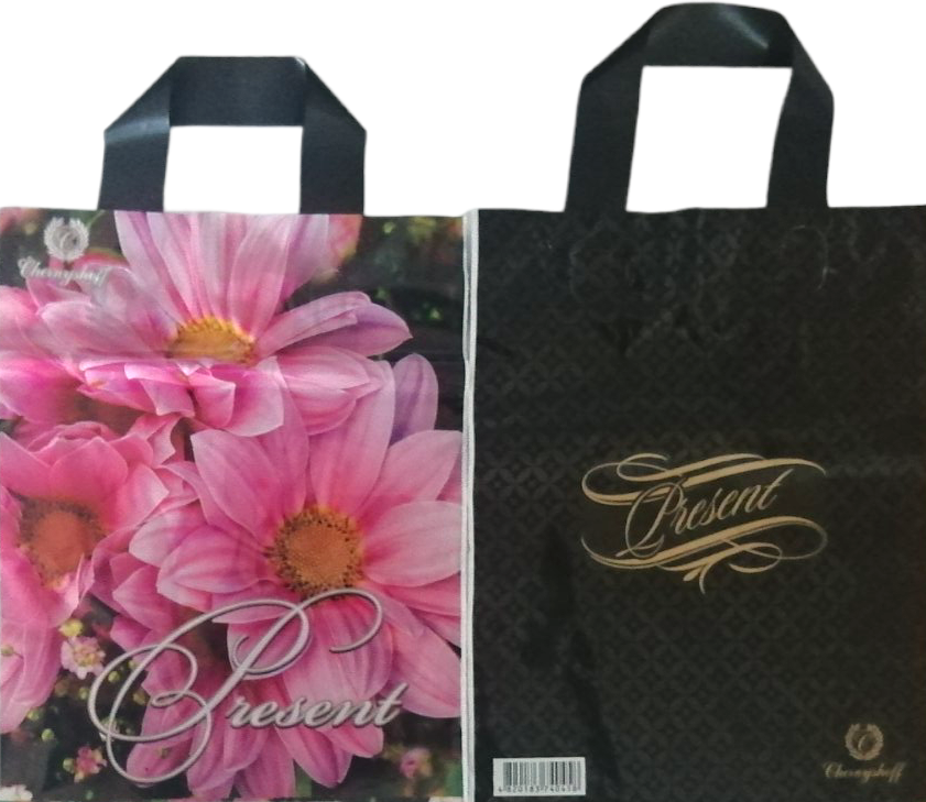 Assorted Present Shopping Bag, 25 x 30 cm
