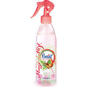 Brait Oriental Garden Air Freshener Spray, 425 mL