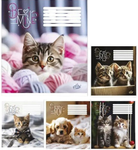 Brisk TV-107 Grid Notebook, 12 Sheets