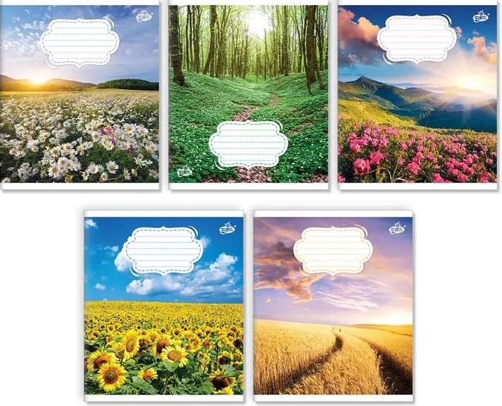 Brisk TV-107 Grid Notebook, 12 Sheets - Image 3