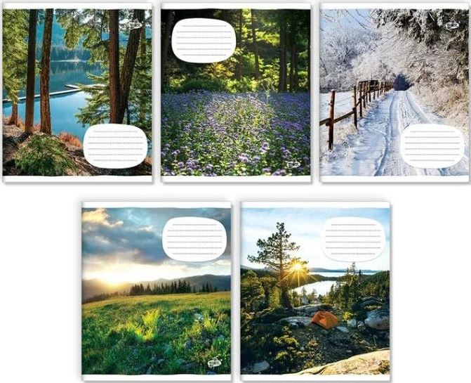 Brisk TV-107 Slanted-Line Notebook, 12 Sheets