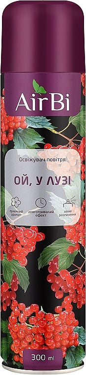 Air Bi Oh, in the Meadow Air Freshener, 300 mL