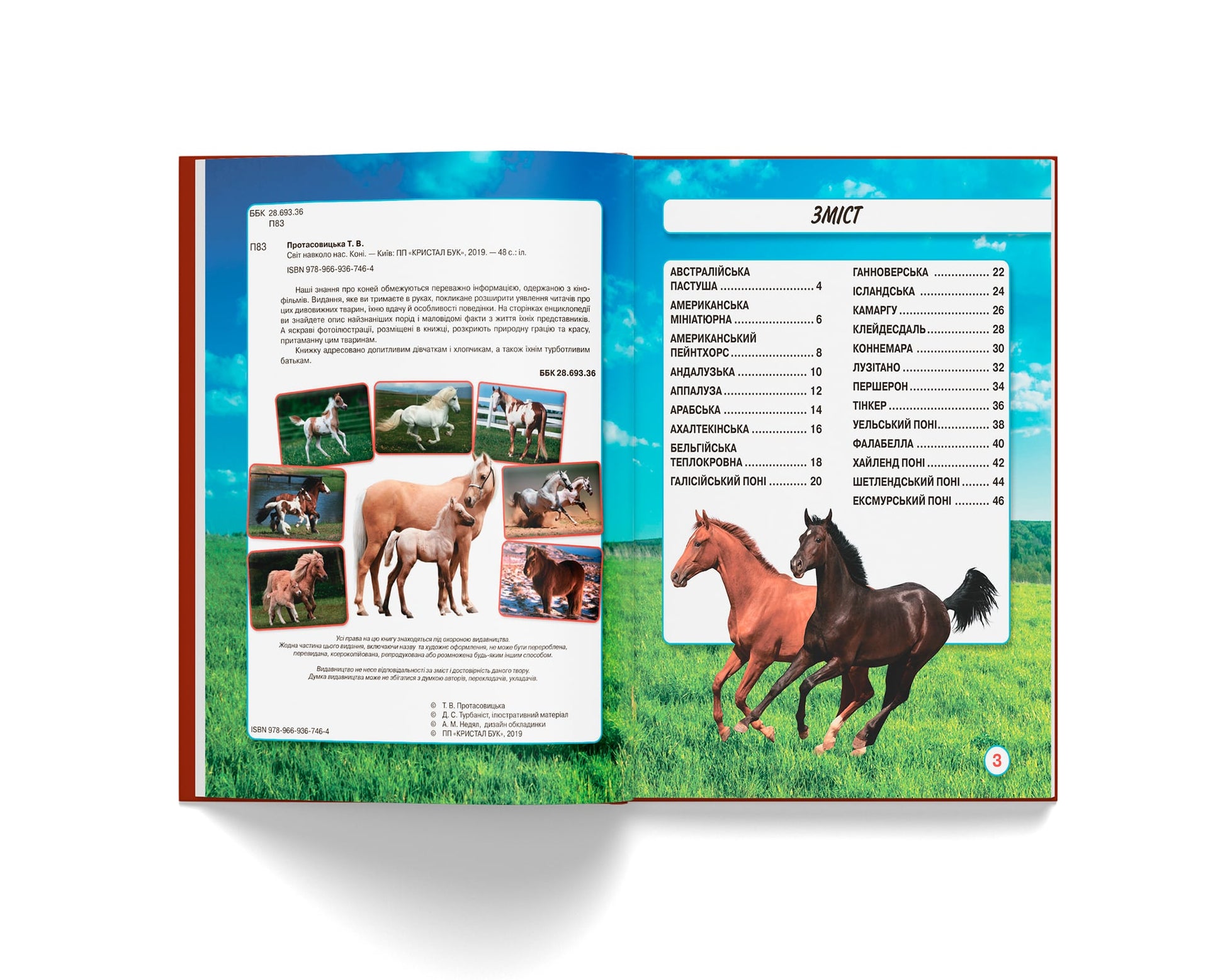 Crystal Book A4 World Around Us Photo Encyclopedia: Horses - Image 2