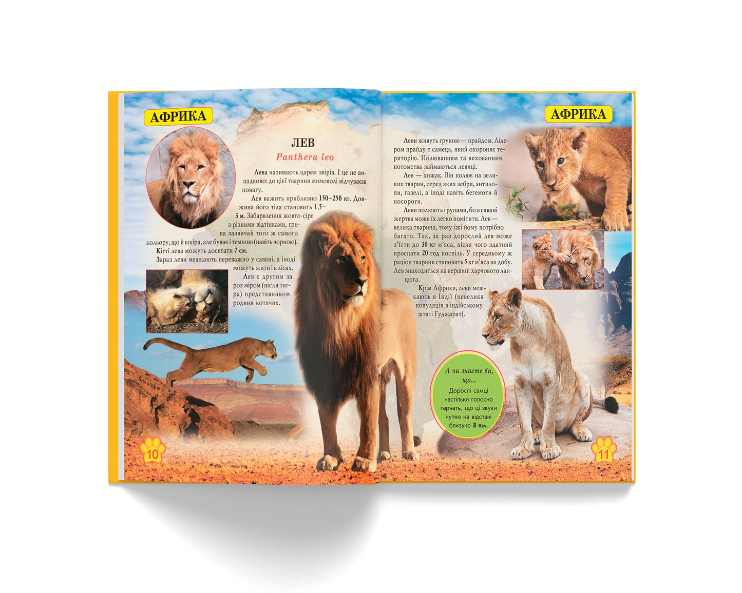 Crystal Book A4 World Around Us Photo Encyclopedia: Wild Animals - Image 3