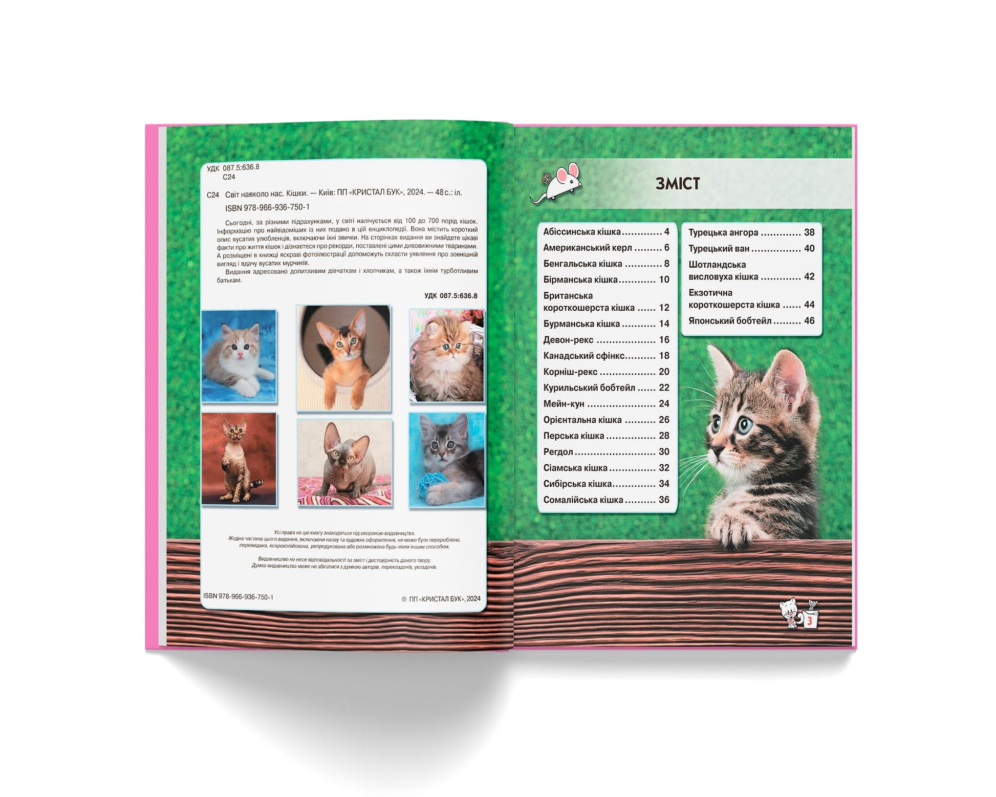 Crystal Book A4 World Around Us Photo Encyclopedia: Cats - Image 2