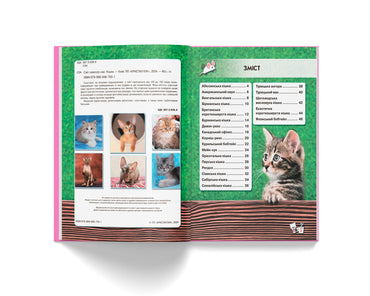 Crystal Book A4 World Around Us Photo Encyclopedia: Cats - Image 2
