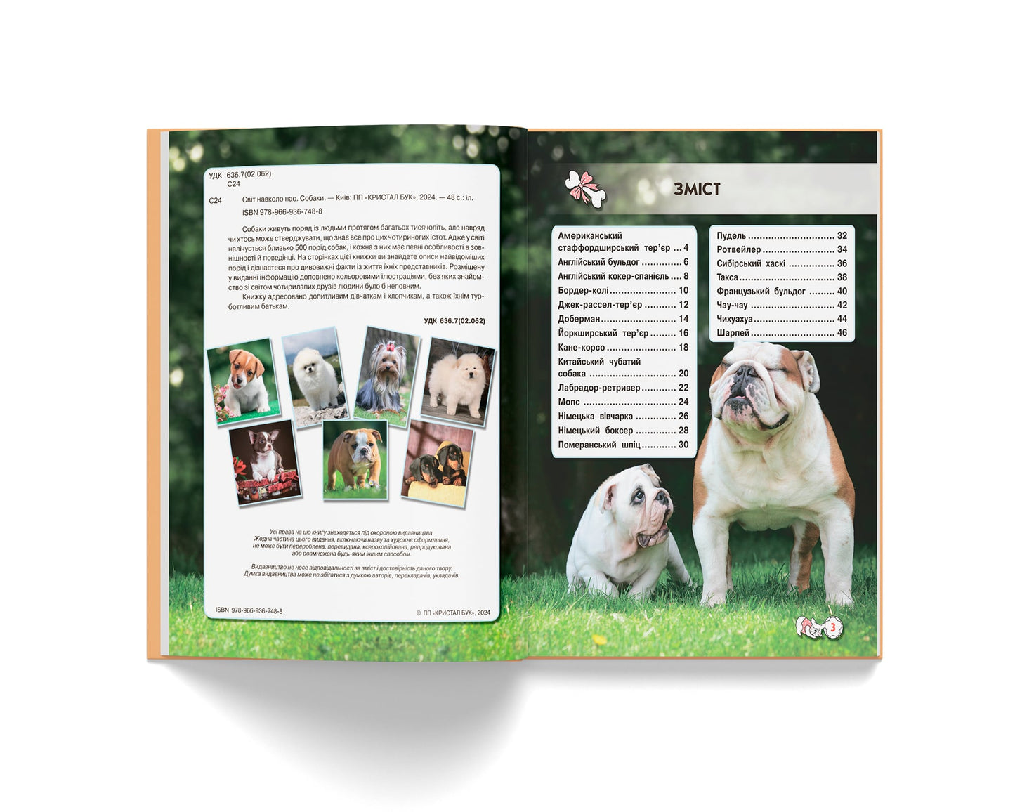 Crystal Book A4 World Around Us Photo Encyclopedia: Dogs - Image 2