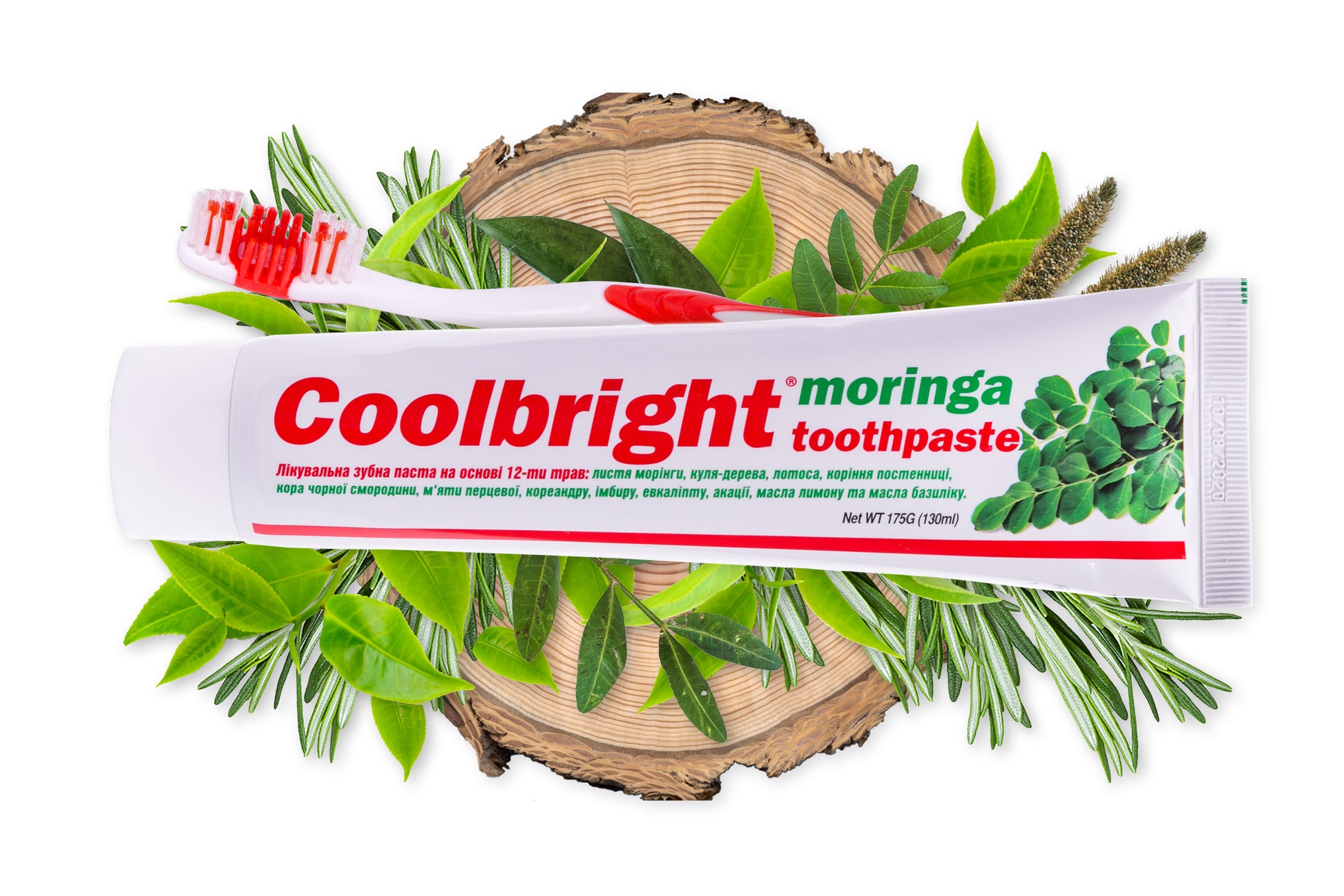 Coolbright Moringa Toothpaste & Toothbrush Set, 130 mL - Image 4