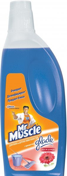 Mr.Muscle Rain Freshness Floor Cleaner, 500 mL