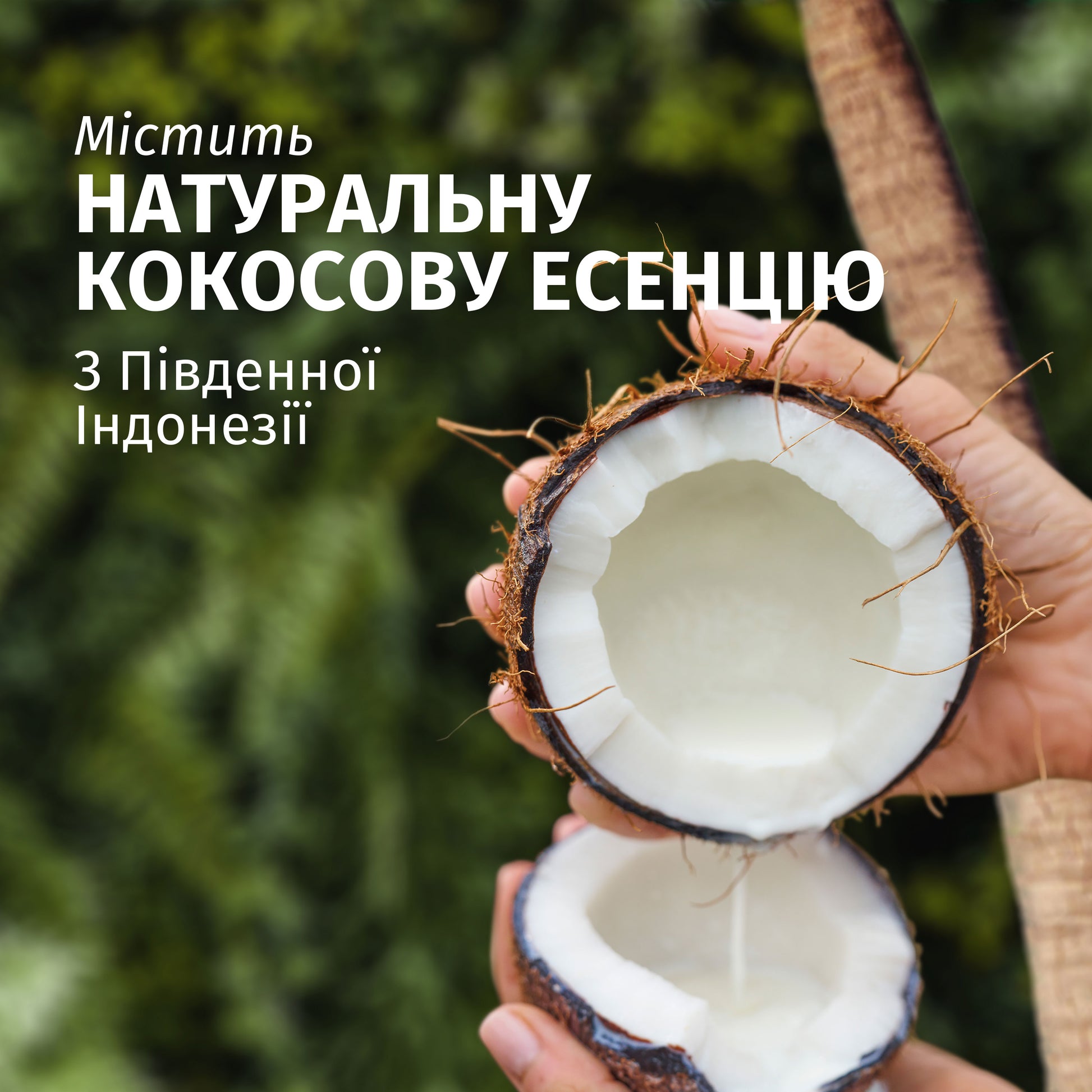 Herbal Essences Hydrate Coconut Shampoo, 350 mL - Image 2