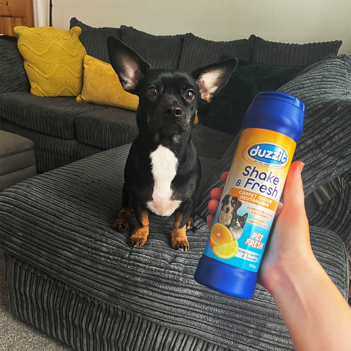 Duzzit Shake & Fresh Pet Fresh Odor-Neutralizing Carpet Freshener, 500 g - Image 3