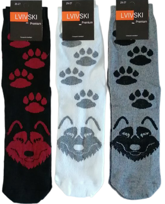 Lvivski Premium Socks, Size 25-27