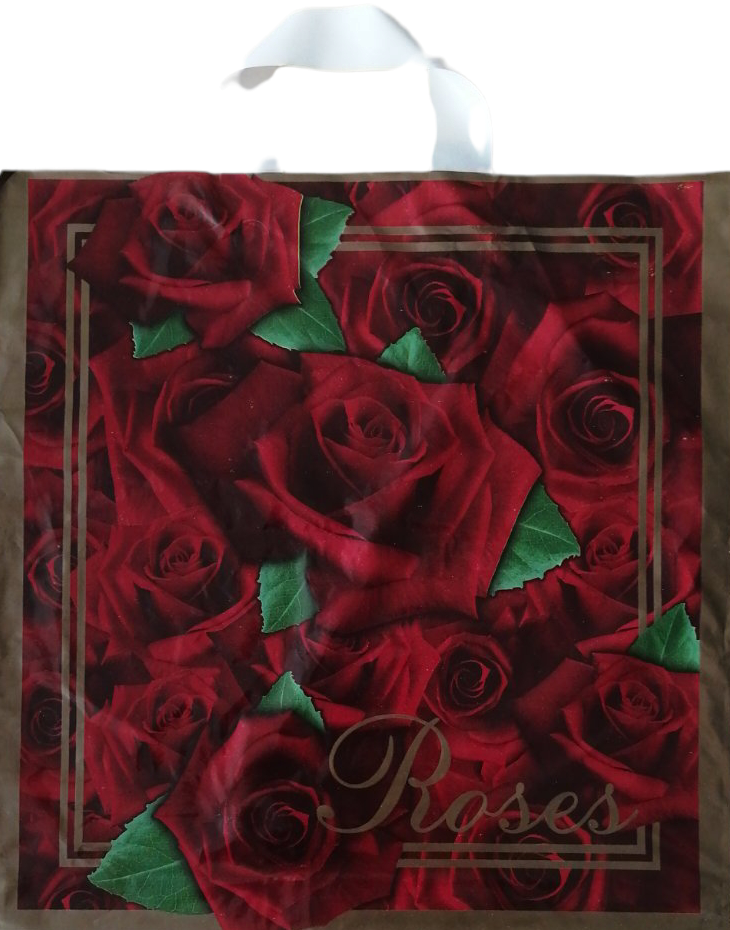 Assorted Shopping Bag, 40 x 43 cm