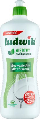 Ludwik Mint Dishwashing Liquid, 900 mL