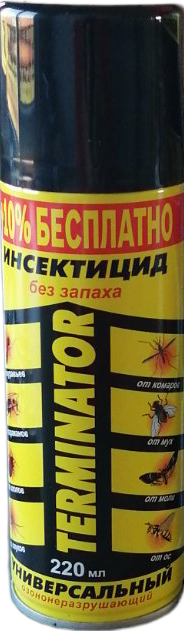 Terminator All-Purpose Flying & Crawling Insect Killer, 220 mL - Image 2