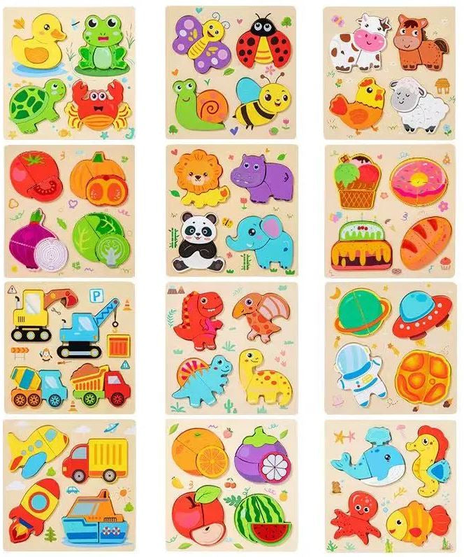 S75637 Wooden Frame Insert Puzzle
