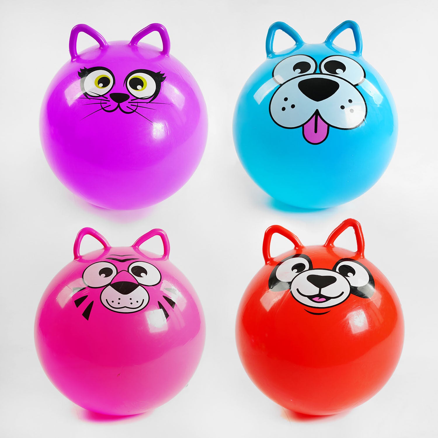 C56693 Fitness Ball