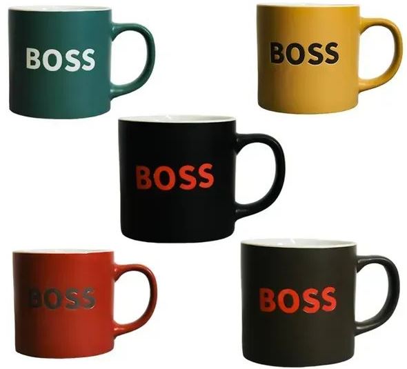 Vittora VT-C-253510 Boss Porcelain Mug, 485 mL